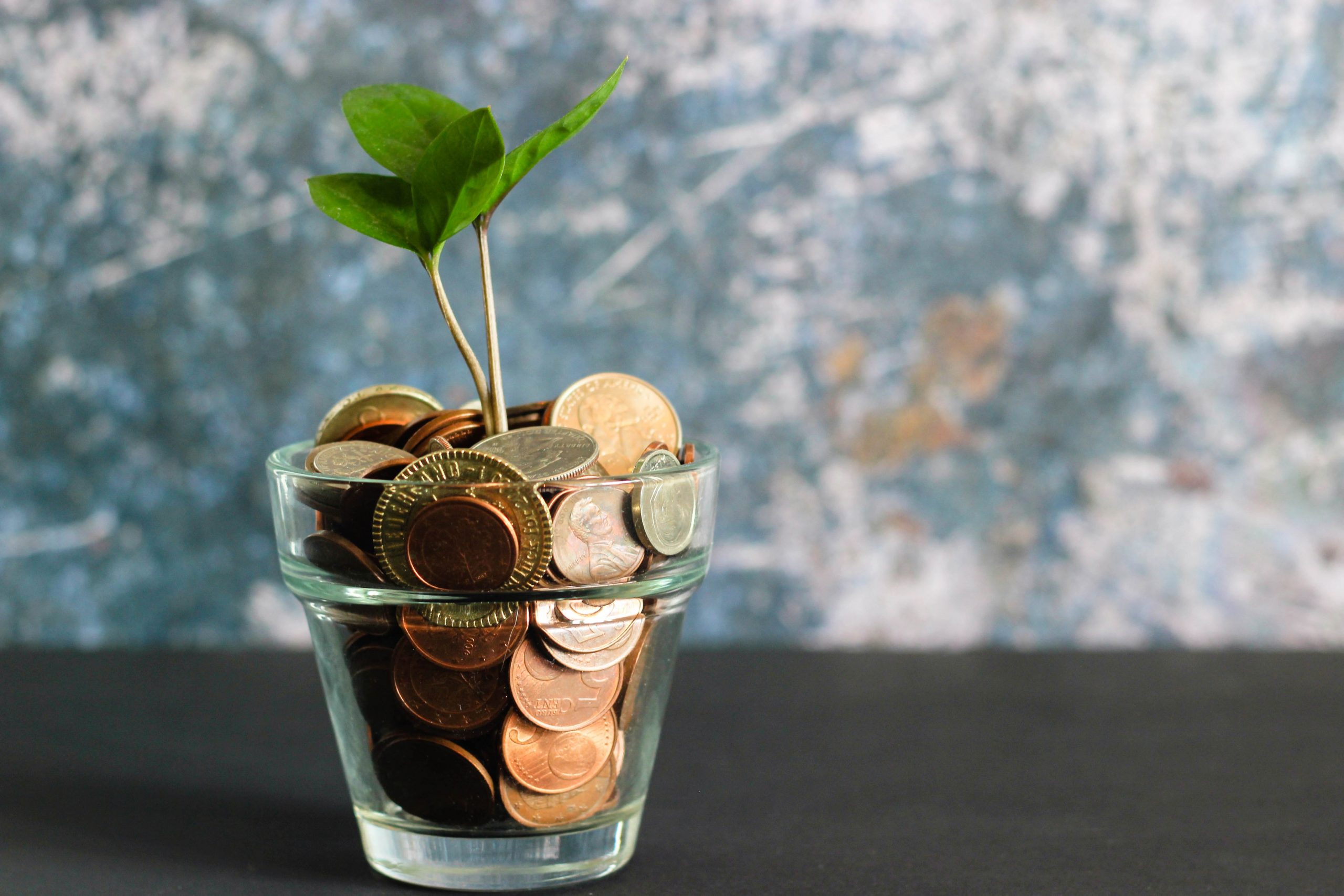 A glass filled with money and a plant growing from it