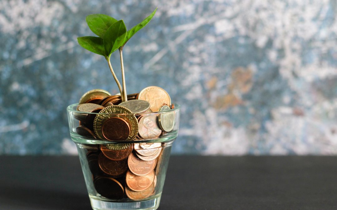 A glass filled with money and a plant growing from it